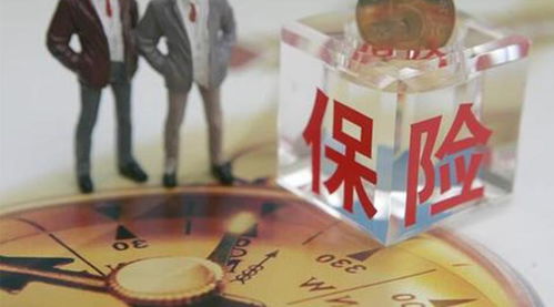 勐海茶厂副业背后隐藏着怎样的经营策略？