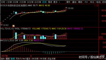 如何科学炒股实现稳定盈利？新手必看技巧解析