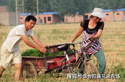 如何在乡下快速找到赚钱的门路？