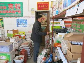 中山哪个镇的外卖配送收入最高？