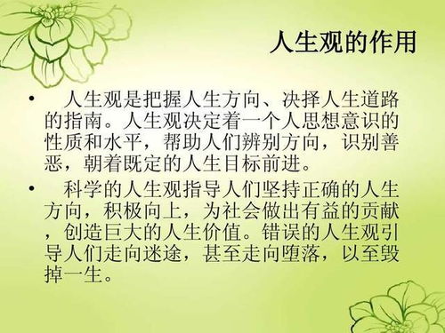 木果究竟为何物？其含义又是什么？