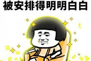 啪什么梗