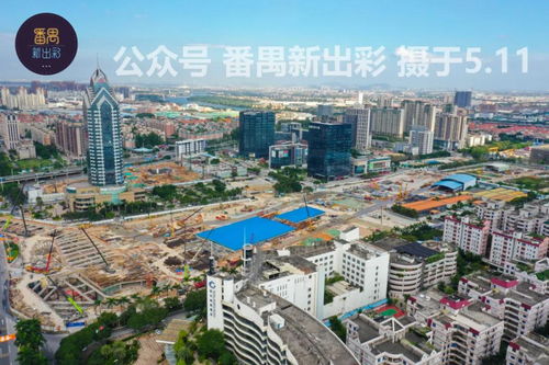 你此行目的究竟是为了赚钱还是另有他图？