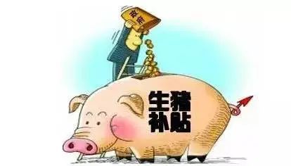 养猪副业真的能赚钱吗？新手入行需要注意什么？