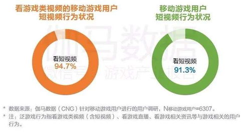 龙马游平台能否实现盈利？用户赚钱可行性分析