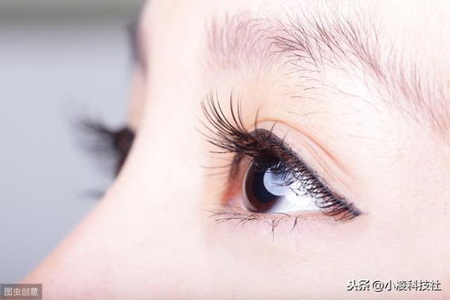 眼睫毛行业真的能带来可观收入吗？深入探讨其盈利潜力