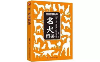 樊登力荐的副业书籍，你真的了解吗？如何从中找到适合自己的副业方向？