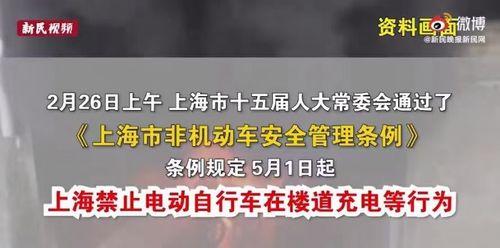 想创业加盟？喵小姐的项目值得你关注吗？
