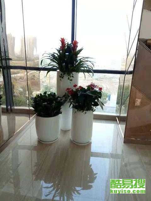 如何经营绿植店才能实现盈利？