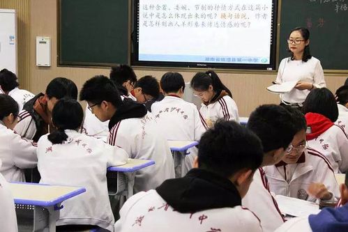 参加投资教育培训班真的能带来丰厚收益吗？