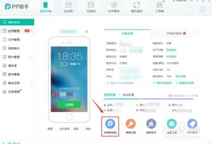 如何在头条平台上通过销售苹果实现盈利？