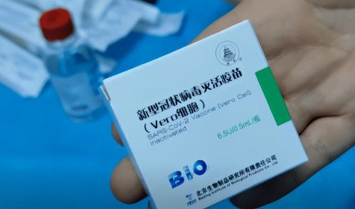 伊朗选手如何兼顾工作与夺冠？兼职冠军背后的故事