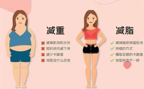 微商瘦身铺真的能帮助我们减肥成功吗？靠谱程度如何？
