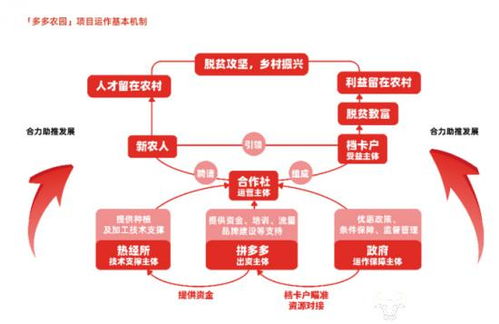 拼多多如何助力农产品销售，新模式成效几何？