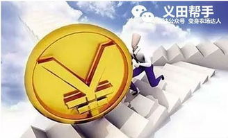 在巴基斯坦经营家具生意能否实现盈利？