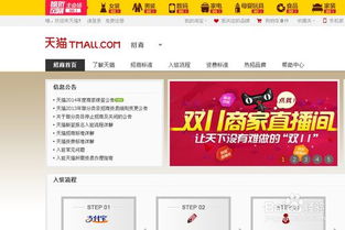 天猫开店如何盈利？新手开店赚钱攻略详解