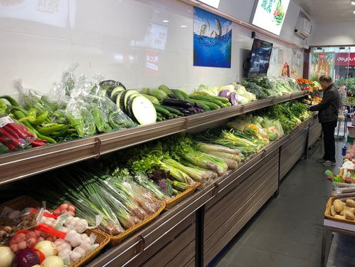 下岗大妈转型开卤菜店，能否实现财富逆袭？