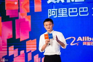 马云会选择什么样的副业来发挥余热？