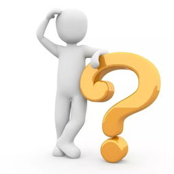 哪些副业技能能带来高薪回报？你知道吗？