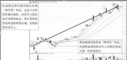 巴菲特独特的炒股策略是如何实现财富增长的？