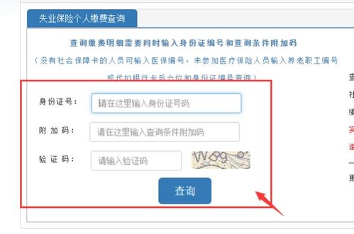 如何查询失业保险及缴费记录？详细步骤指南