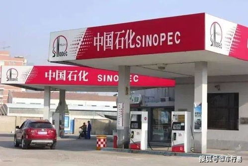 大学生创业开加油站，真的能赚钱吗？