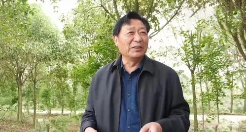 陶长柏如何在沙土地种出“摇钱树”，年收益七千万，带领农户致富？