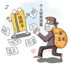 背花篓能否成为赚钱新途径？真相让人意想不到！