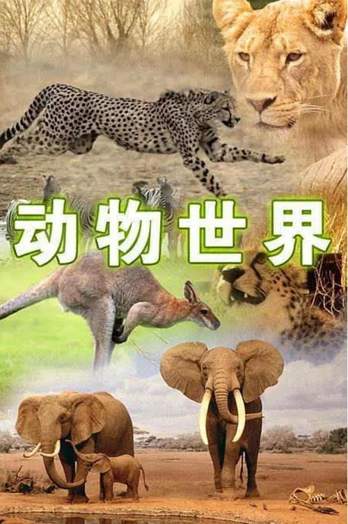 想要成为动物饲养员，该选择哪所大学深造？