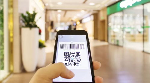 使用聊天赚钱软件，个人信息和资金安全有保障吗？