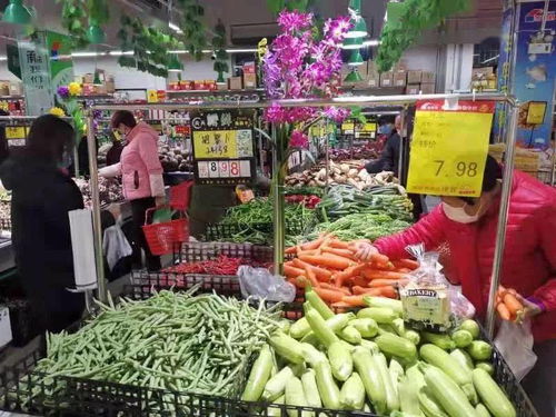 在大足经营蔬菜店有哪些盈利策略？