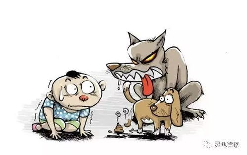 养龟能否成为一门赚钱的副业？你真的了解吗？