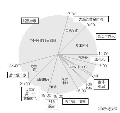 如何高效规划一天时间实现创收？