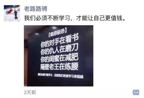 深圳逐梦，不赚钱我为何而来？求解人生选择之谜
