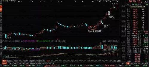 小白入市能否在股市中获利？新手赚钱可能性探讨