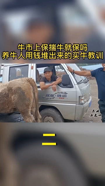 新手养牛选择保揣牛，真的能赚钱吗？