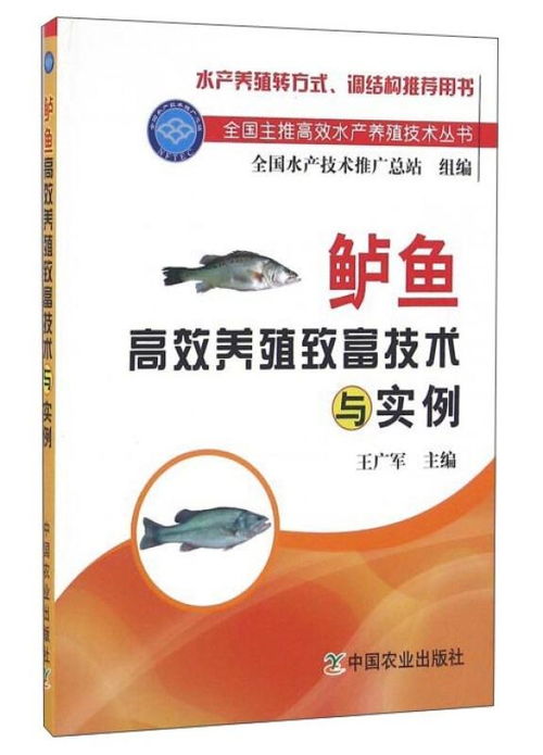 如何通过最新养殖技术实现高效盈利？