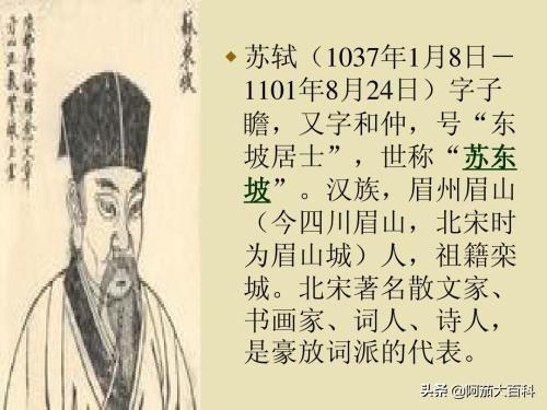 苏东坡除了文学成就外，还有哪些鲜为人知的副业？