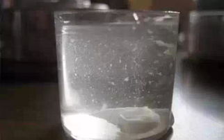 动物油提炼真的能带来可观收益吗？