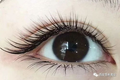 美睫行业真的能带来可观收入吗？值得一试吗？