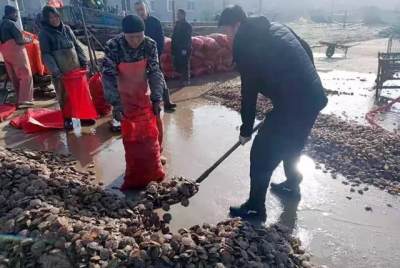 湖南大妈养殖致富，究竟哪种项目收益最高？
