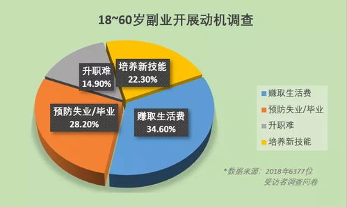 如何有效规划与实践副业，实现多元收入增长？