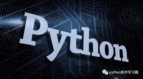 如何在美国利用Python开展副业赚钱？可行性与方法探讨