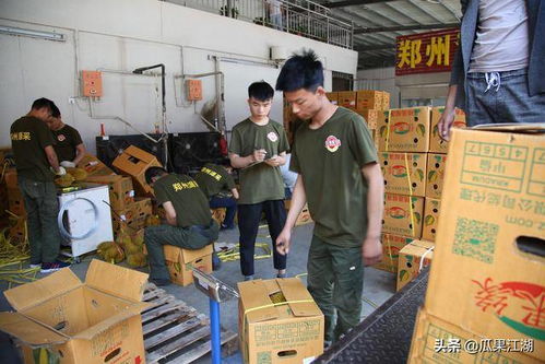 在广东批发市场，哪种商品能最快实现盈利？
