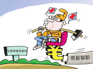 体制内单位兼职现象普遍吗？其背后的原因和影响是什么？