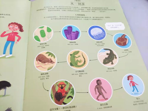 蜈蚣是如何一步步演化而来的？探索其形成奥秘的视频解析