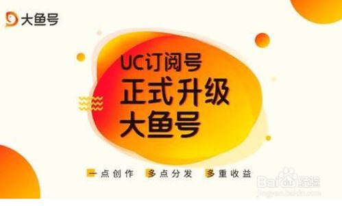 自媒体平台盈利哪家强？如何选择适合自己的赚钱平台？
