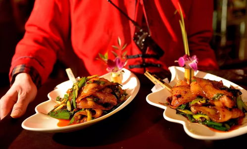 投身傣味餐饮业，能否实现盈利梦想？