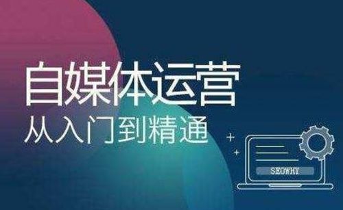 在家做自媒体，如何高效创作并实现稳定盈利？