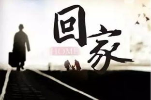 回乡后学什么技术能快速赚钱？打工族转型指南